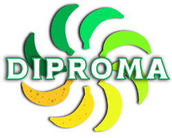 logotipo - DIPROMA