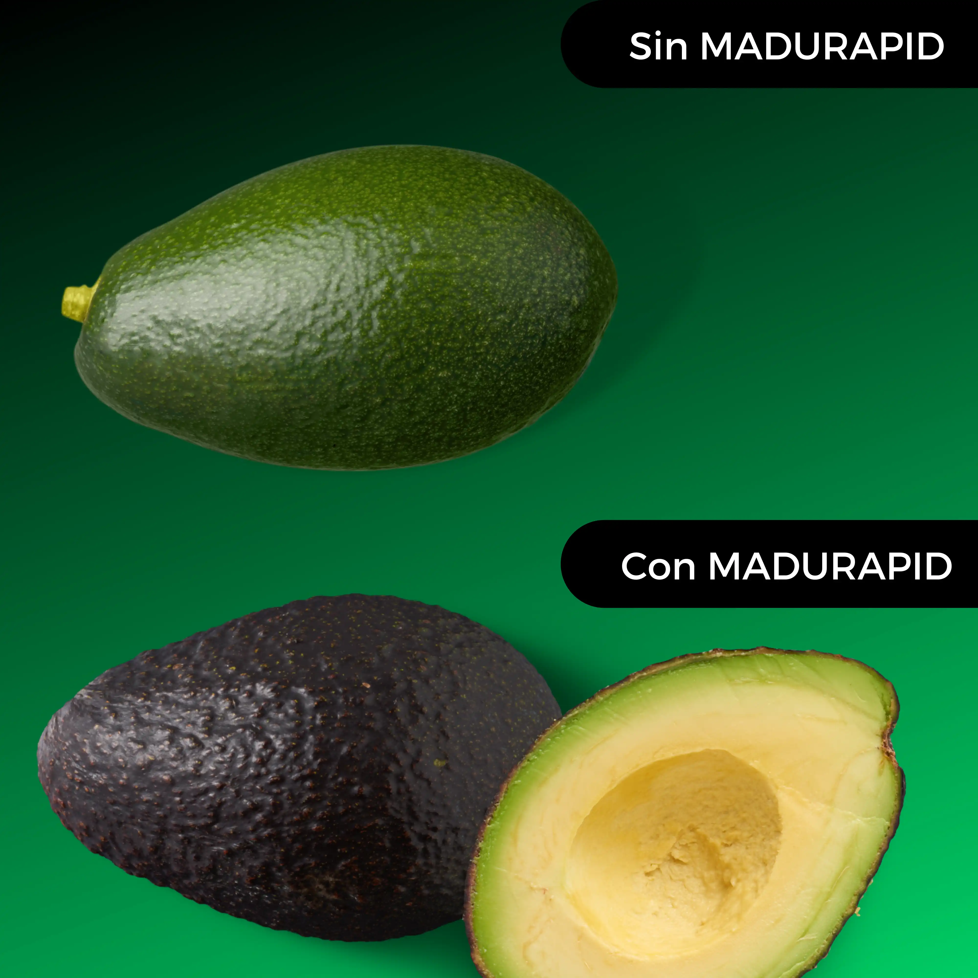 Resultados de MADURAPID con la papaya - DIPROMA