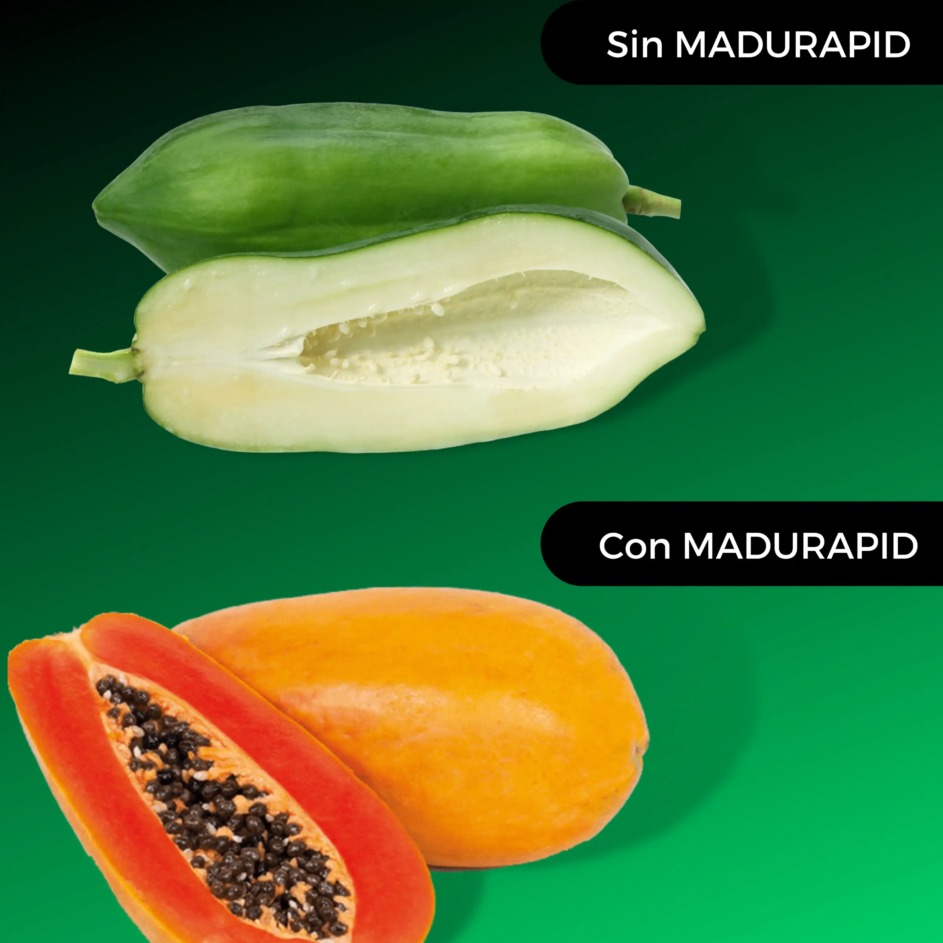 Resultados de MADURAPID con la papaya - DIPROMA